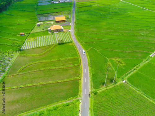 Aerial view of a car driving down a road surrounded by terraced rice fields.