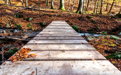 Forest wooden bridge in the woods