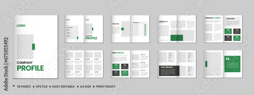 Company profile, multipage flyer brochure, 16 pages portfolio magazine, annual report, catalog and a4 multipage template design