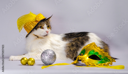 wicked cat in a yellow carnival hat with sequins and a feather n photo