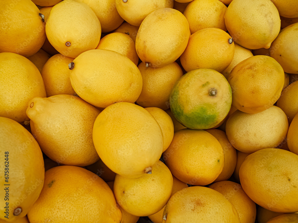 Yellow lemons in Summer tray market agriculture farm full of organic. Yellow lemons in Summer tray market agriculture farm full of organic.