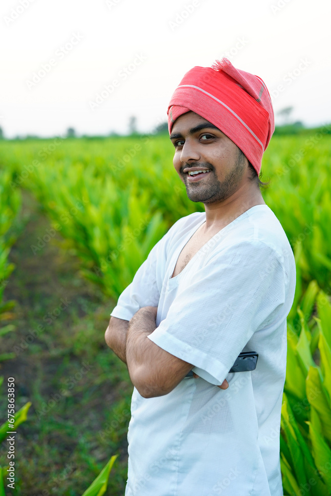 Happy Indian farmer at green turmeric agriculture field.