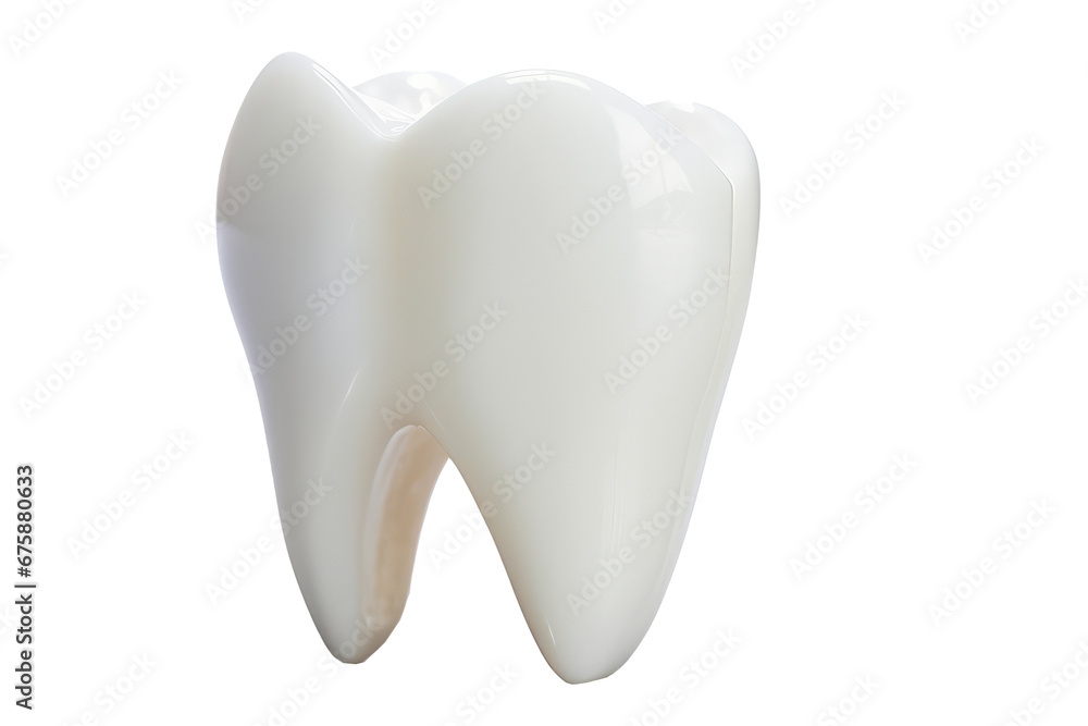 a healthy white tooth isolated on transparent background a healthy white tooth isolated on transparent background