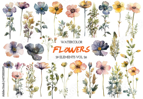 Watercolor painted flowers. Hand drawn flower design elements isolated on white background.