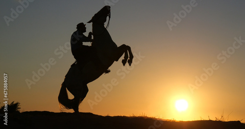Man on his Camargue Horse Kicking at Sunrise, Manadier in Saintes Maries de la Mer in Camargue, in the South of France , Cow Boy