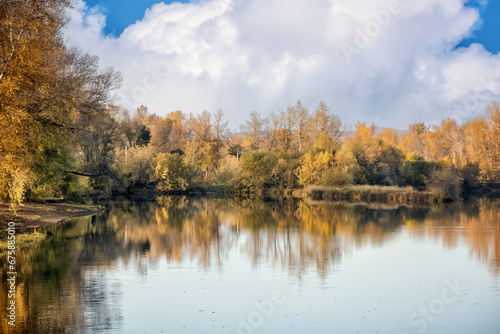 A beautiful landscape of the river surrounded by trees on a sunny fall day under blue sky. Concept: summer.