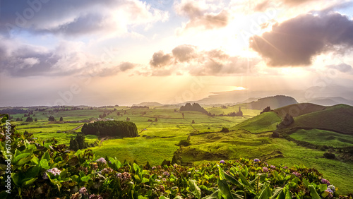 Green fields and meadows on the Portuguese island of São Miguel in the Azores in the early morning sun photo