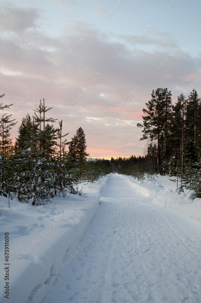 Obraz premium winter landscape with snow
