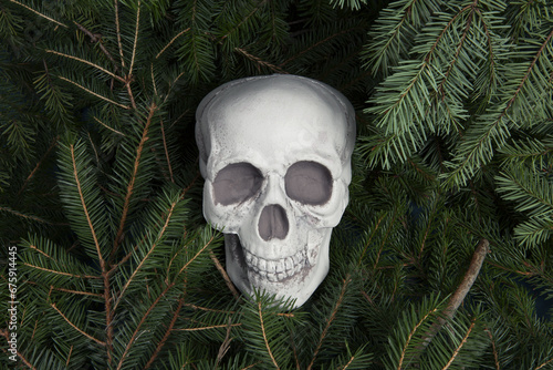 a plastic Skull isolated among fir trees