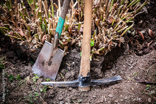 a pickaxe and a spade in the garden photo