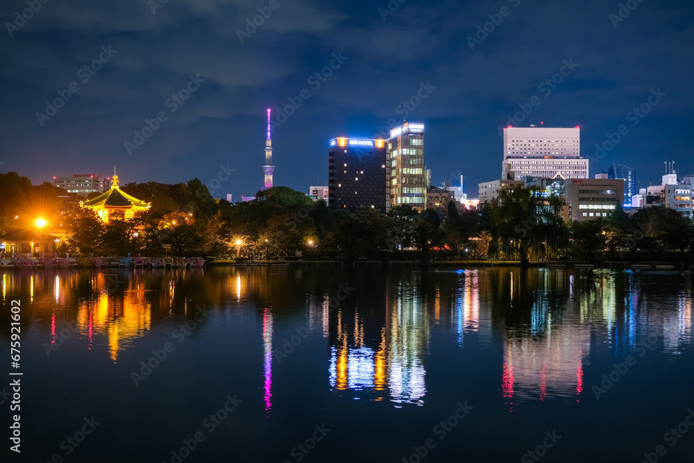 東京都台東区 夜の上野公園 不忍池
