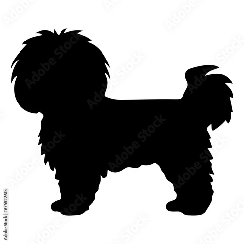 Bichon Frise Dog Vector Silhouette, Generative AI. photo