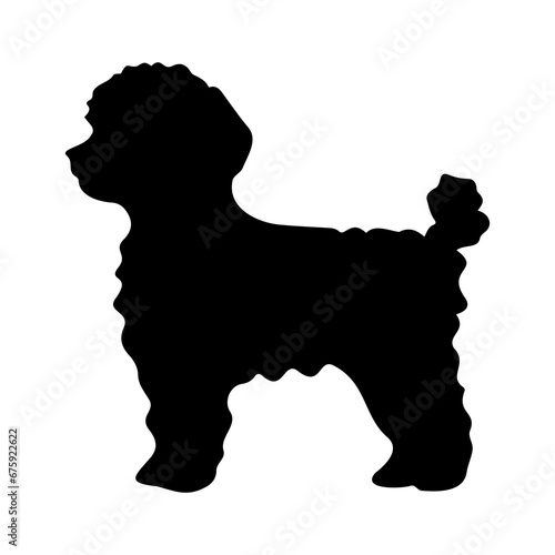 Bichon Frise Dog Vector Silhouette, Generative AI. photo