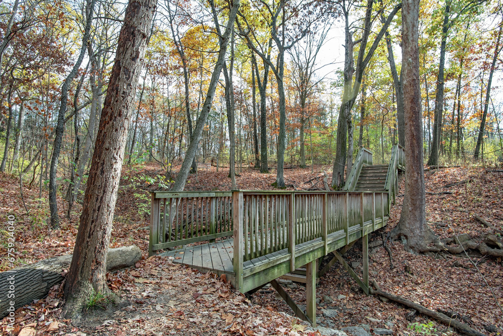 Deciduous Forest with Wooden Bridge and Fallen Autumn Leaves