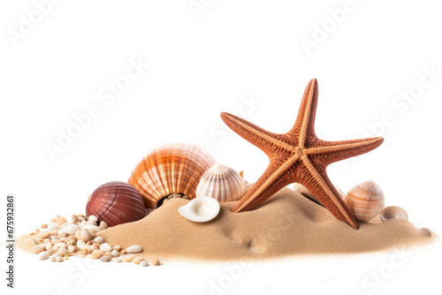 shells and starfish on sand isolated on transparent background © Olha Vietrova