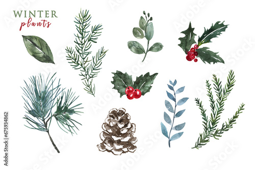 Watercolor winter plants set. Hand-painted evergreen branches, red berries, pine cone, leaves, isolated. Natural elements. PNG clipart.