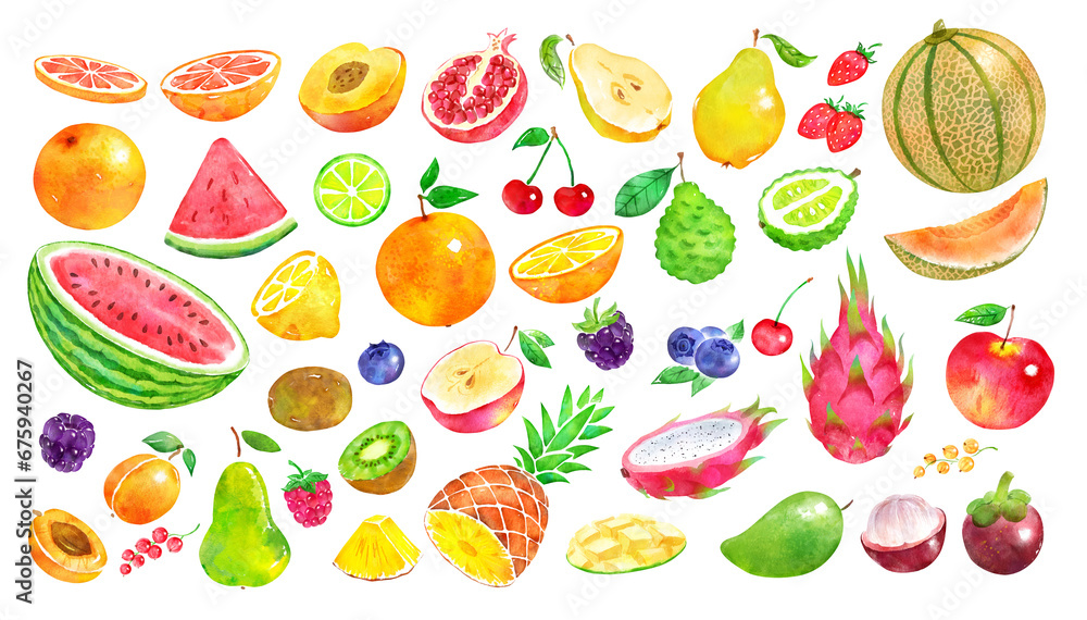 Watercolor illustration collection of fruit Watercolor illustration collection of fruit