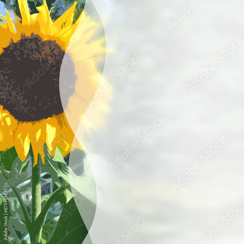 Sonnenblume, quadratische Vorlage für Social-Media Posts, Onlinebanner, Anzeigen und andere Werbung. Mit Platz für individuelle Gestaltung. photo