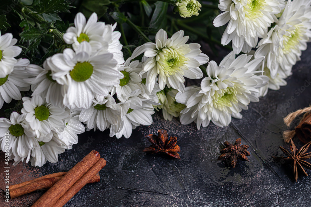Obraz premium Bouquet of chrysanthemums. There are drops of water on the petals. On a dark concrete background.