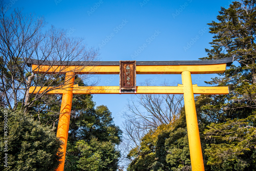 埼玉県　川越氷川神社　大鳥居