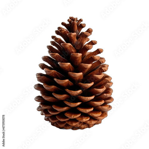 Spruce cone isolated on transparent background