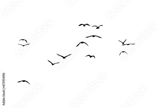 png flock of birds silhouette isolated on transparent clear background © Birol Dincer 