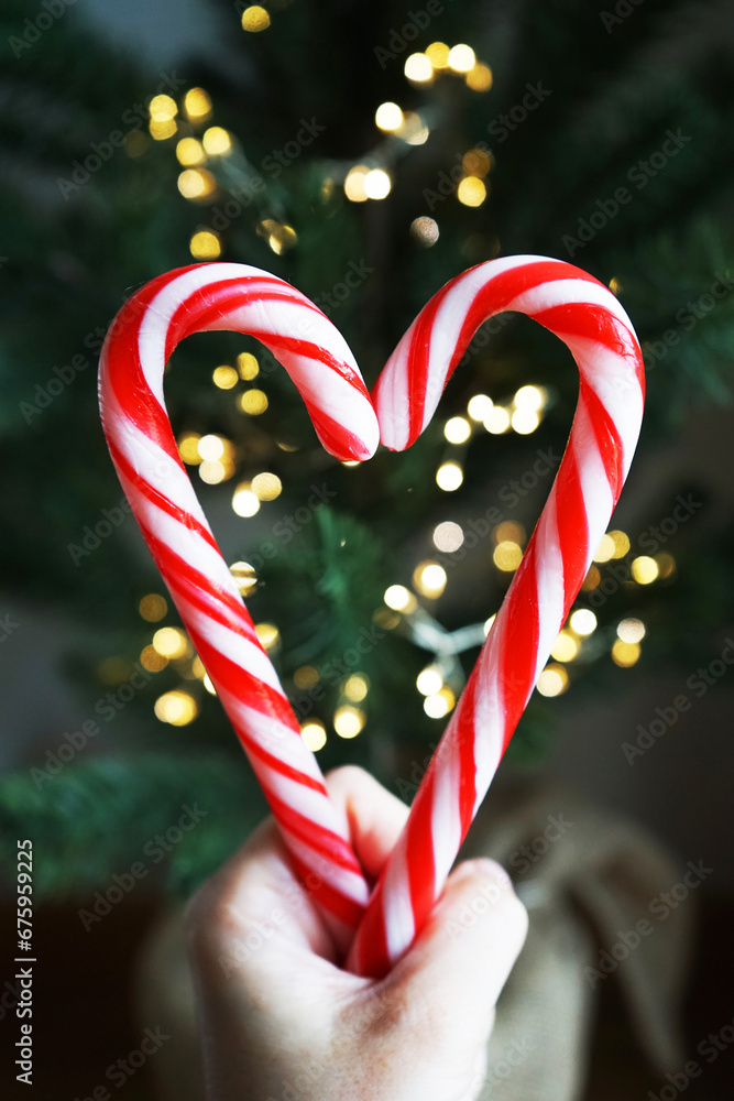 Fototapeta premium Two heart-shaped candycanes on a background of a Christmas tree