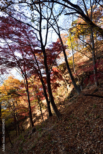 Climbing  Mount Iwabitsu, Gunma, Japan © Tonic Ray Sonic