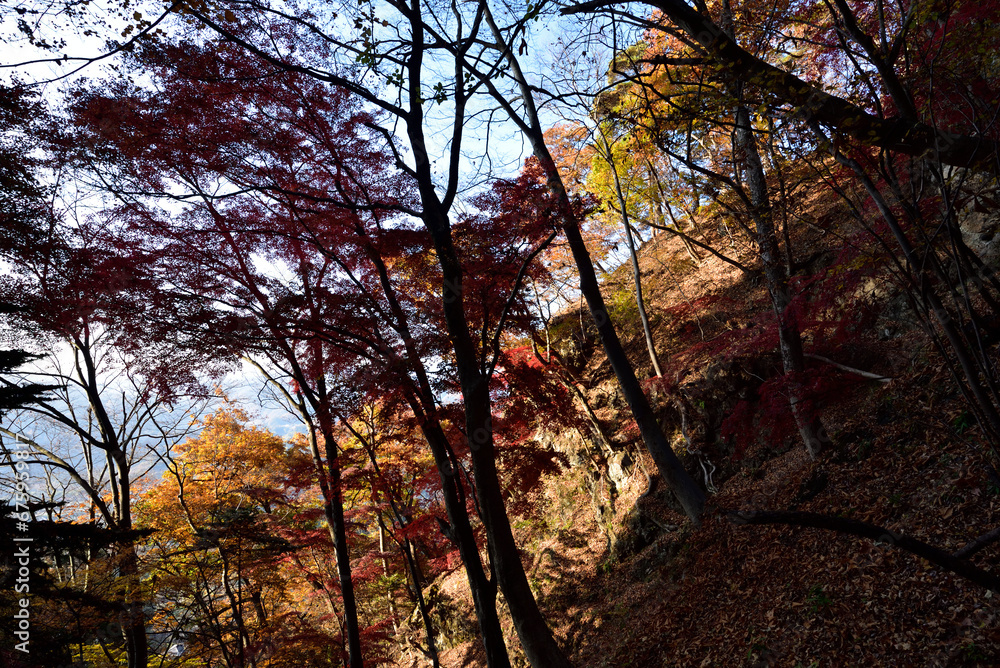 Climbing Mount Iwabitsu, Gunma, Japan Climbing Mount Iwabitsu, Gunma, Japan