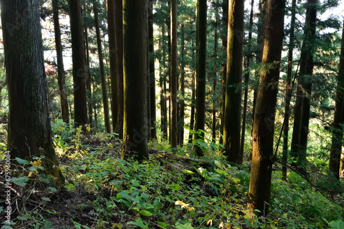 Climbing  Mount Iwabitsu, Gunma, Japan photo