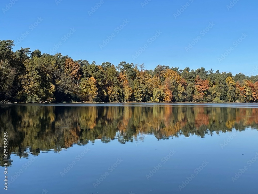 strausberg, wandern, ufer, straussee, herbst, see strausberg, wandern, ufer, straussee, herbst, see