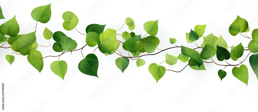 The beautiful design of green leaves on a white background creates a refreshing pattern reminiscent of the vibrant colors and lush nature in summer and spring The beautiful design of green leaves on a white background creates a refreshing pattern reminiscent of the vibrant colors and lush nature in summer and spring
