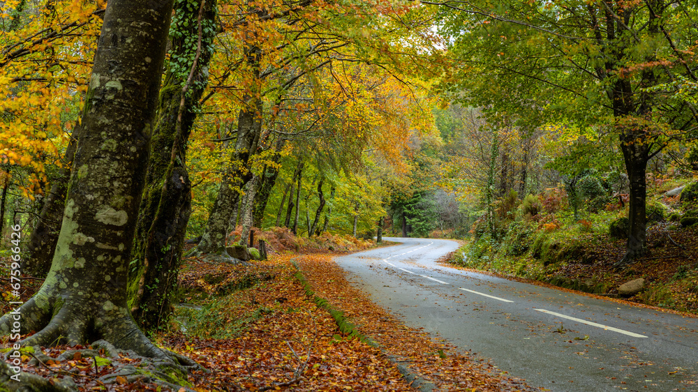 Obraz premium Autumn landscape at Geres National Park
