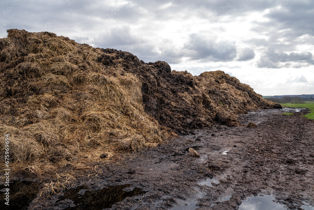 Heap of organic fertilizer in the country field Heap of organic fertilizer in the country field