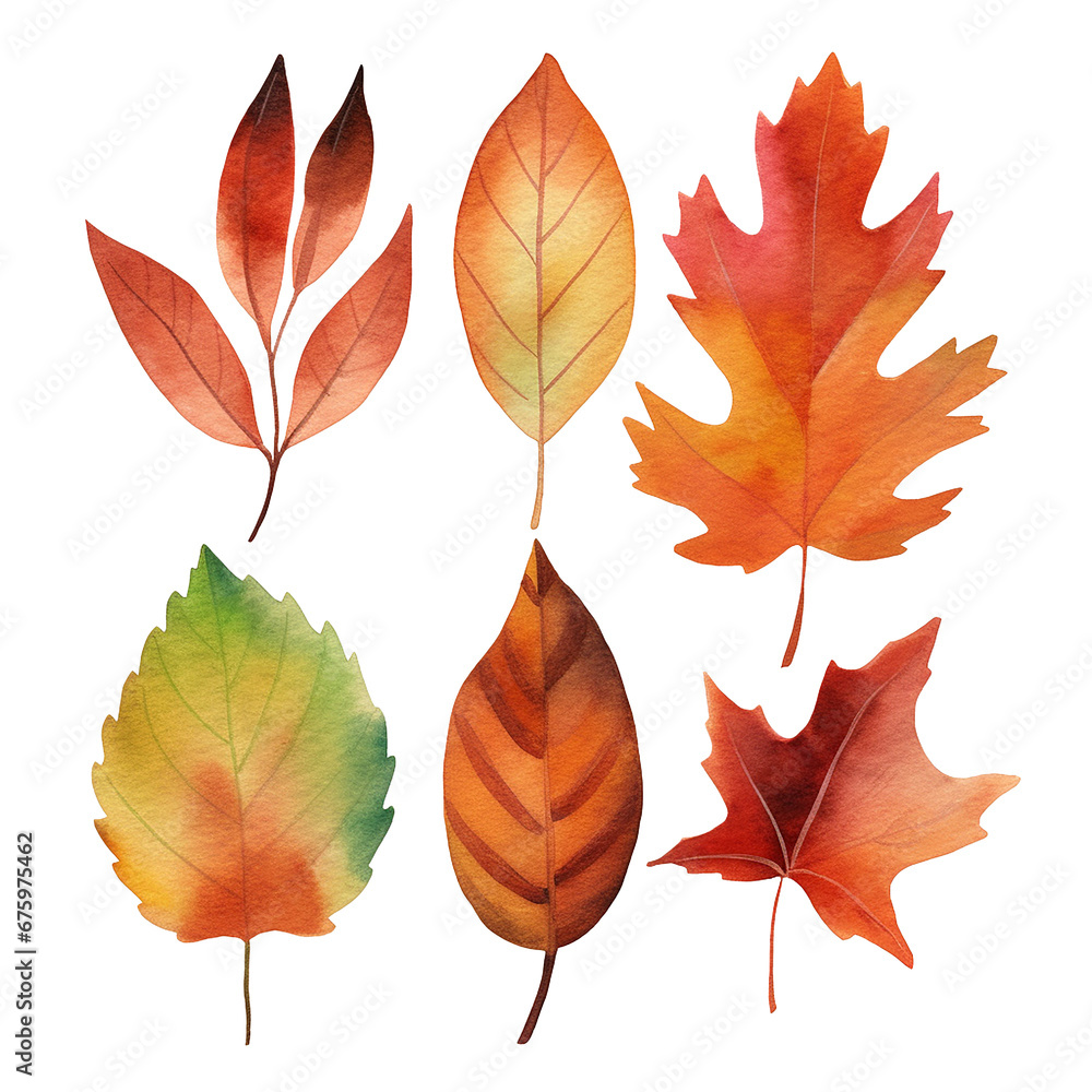 Fototapeta premium Pretty watercolour autumnal leaves. This is a png file with a transparent background.