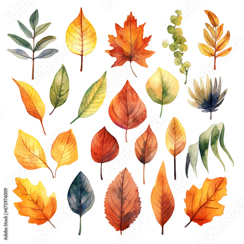 Pretty watercolour autumnal leaves. This is a png file with a transparent background.