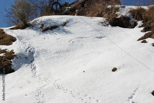 Nature beauty, snowfalling Murree Hills Mountains, Pakistan.
