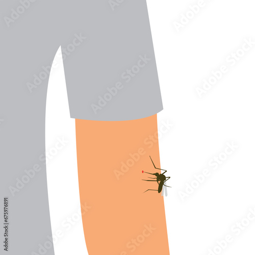 Mosquito bite on the skin of the human hand. The insect bites the man in his arms. Drinks blood.