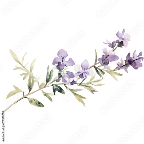 watercolor purple larkspur flower