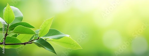 Nature of green leaf in garden at summer. Natural green leaves plants using as spring background cover page greenery environment , generative ai