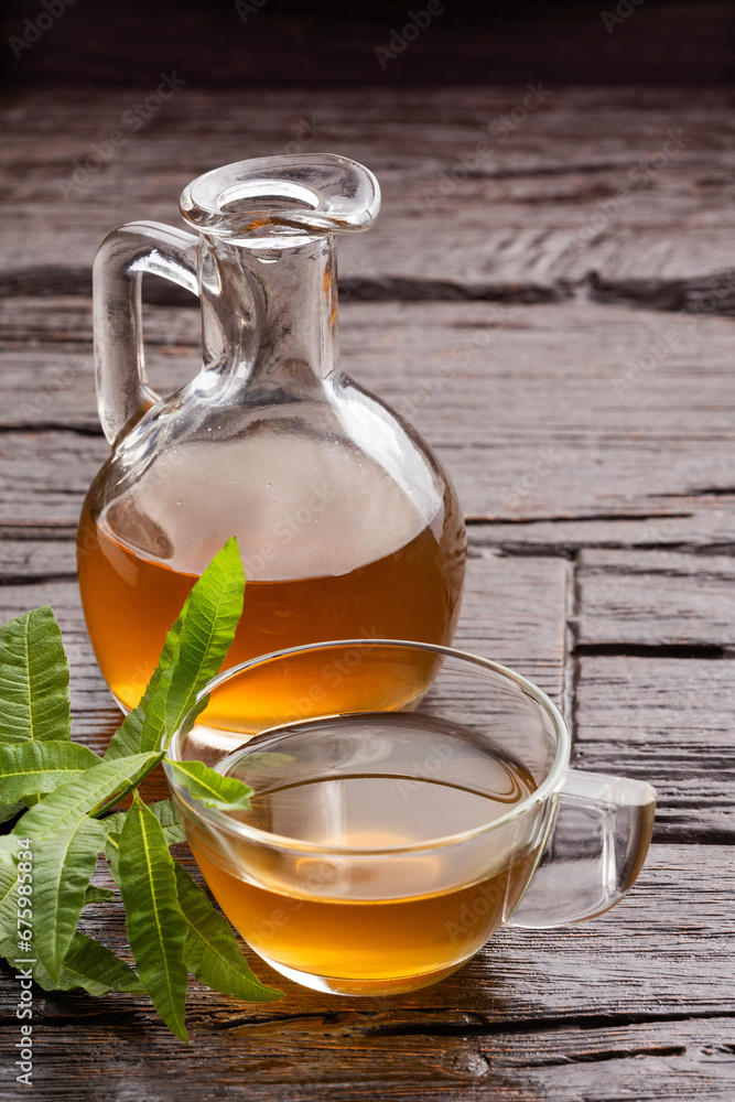 Lemon verbena hot drink - Fresh organic lemon verbena plant - Aloysia citrodora Lemon verbena hot drink - Fresh organic lemon verbena plant - Aloysia citrodora