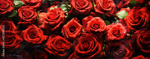 Red Roses are Timeless Symbols of Love and Romance  Ideal for Valentine s Day and Love   Perfect for a Wedding and Celebration Celebrating Love and Affection  and Close-Up of Fresh