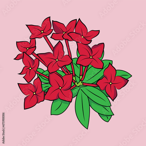 Asoka Flower
