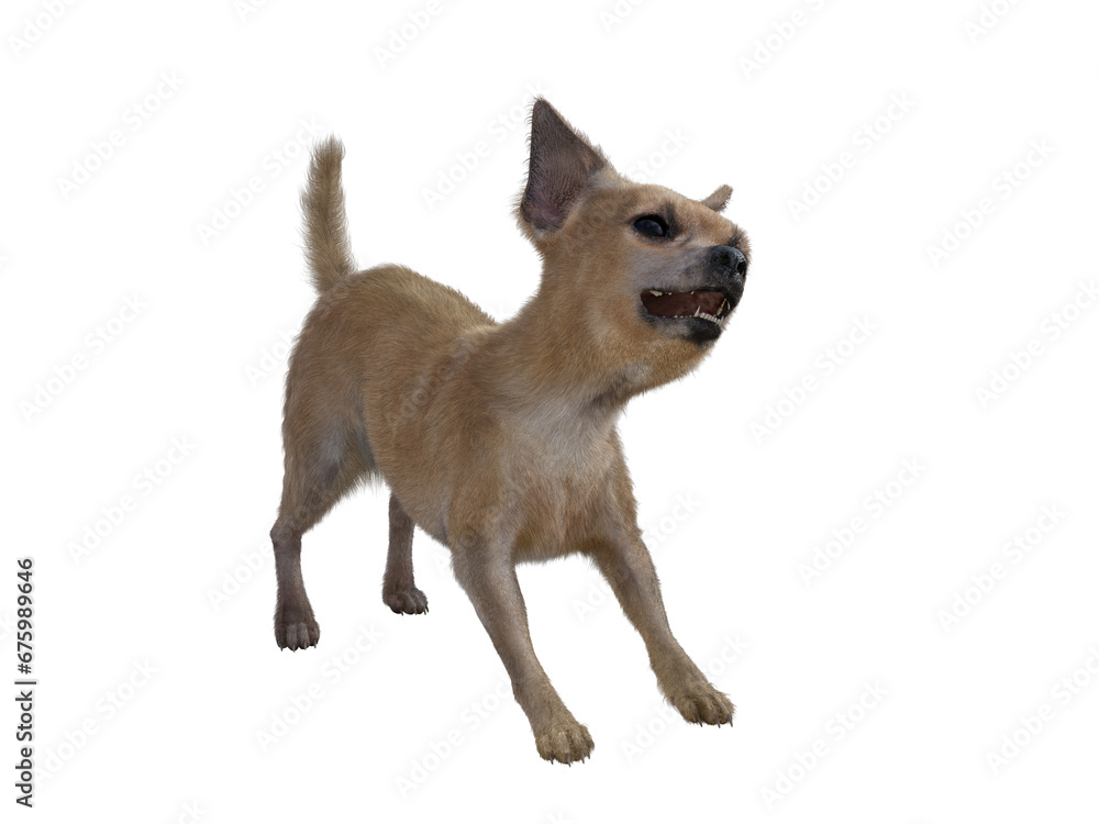 Obraz premium 3d rendering of brown chihuahua, transparent background 