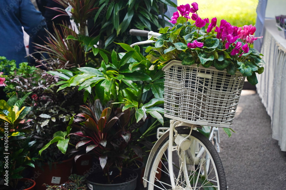 A white bicycle with garden flowers in a basket.