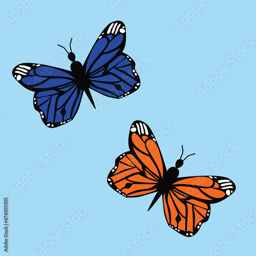 two butterflies in sky