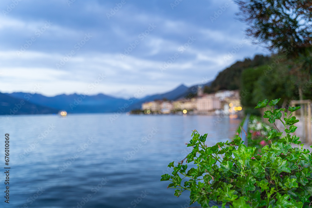 A bush of greenery and flowers on the shores of Lake Como in Italy against the backdrop of the city
