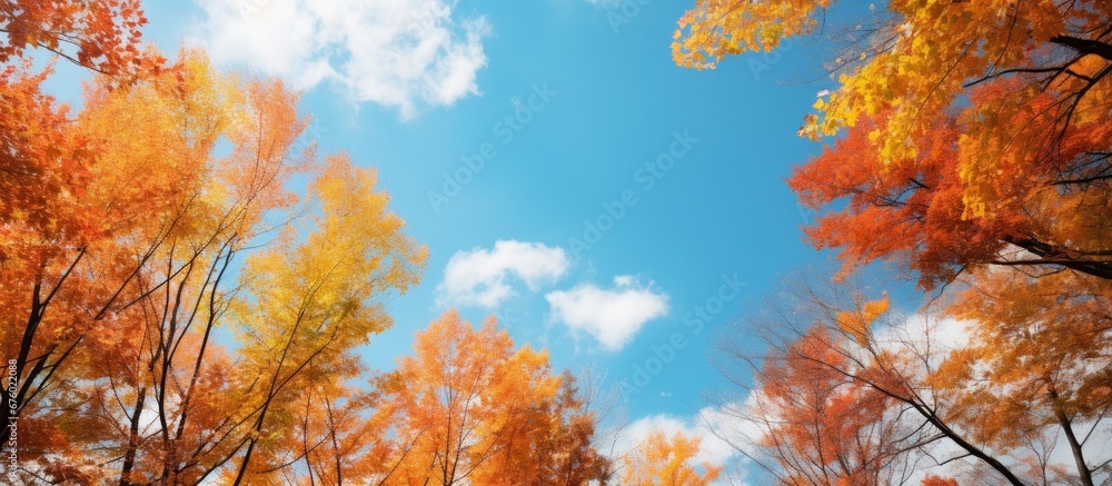 In the abstract background of the sky the vibrant colors of nature burst forth as the spring light filters through the forest of colorful trees creating a picturesque scene resembling an au In the abstract background of the sky the vibrant colors of nature burst forth as the spring light filters through the forest of colorful trees creating a picturesque scene resembling an au