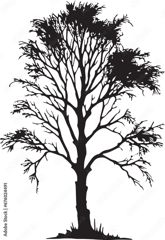 Obraz premium Birch Silhouettes EPS Vector Birch Clipart Birch Collection