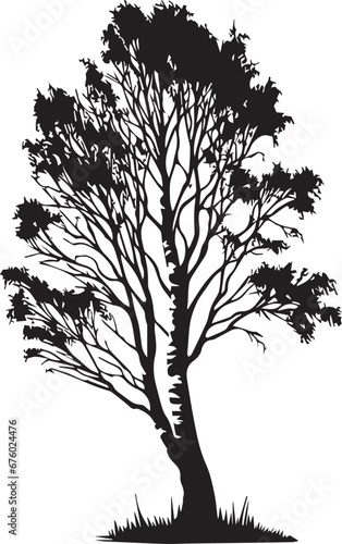 Birch Tree Silhouettes EPS  Vector Birch Clipart Birch Collection